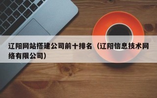 天津辽阳网站搭建公司前十排名（辽阳信息技术网络有限公司）